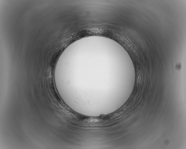 X0000096490518200801241213