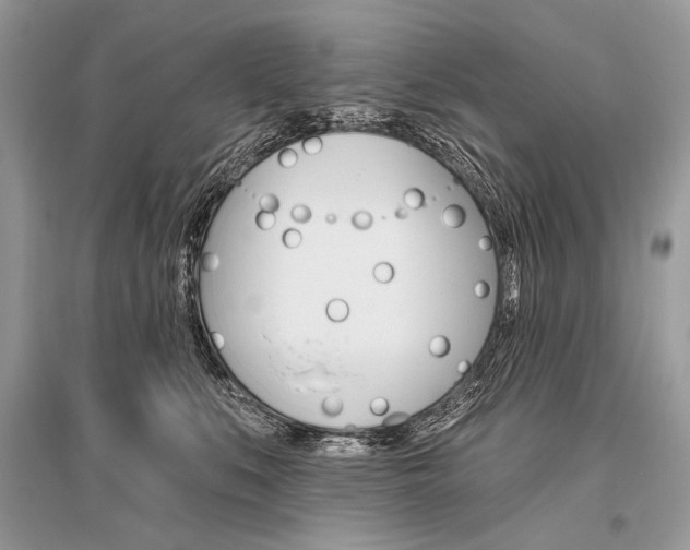 X0000096490519200801241213