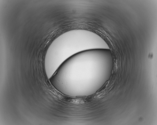 X0000096490520200801241213