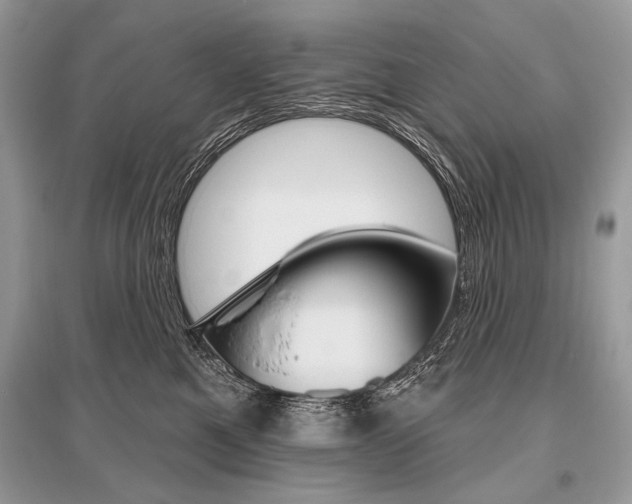 X0000096490521200801241213