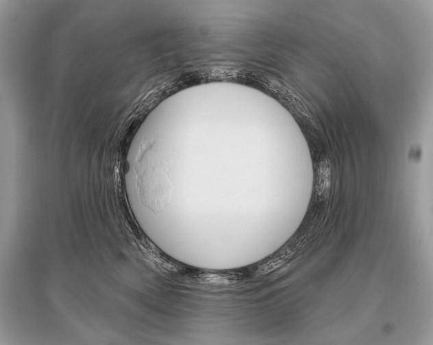 X0000096490522200801241213