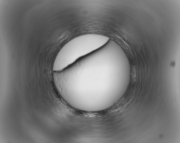 X0000096490523200801241213