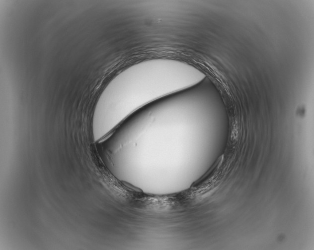 X0000096490524200801241213