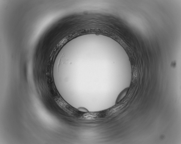 X0000096490526200801241213