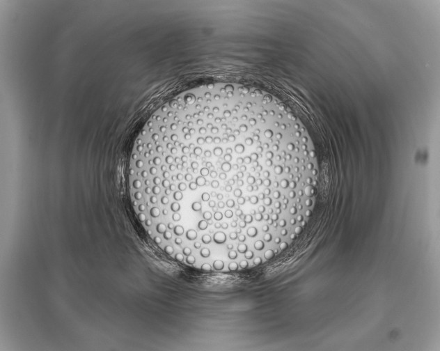 X0000096490527200801241213