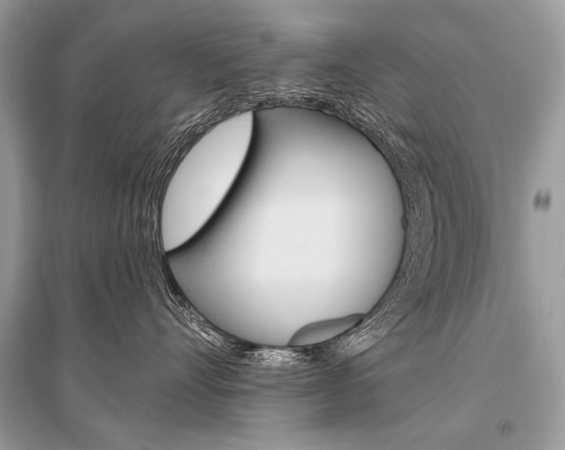 X0000096490528200801241213