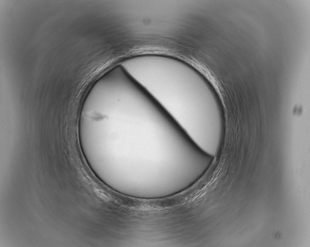 X0000096490529200801241212