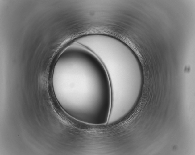 X0000096490530200801241212