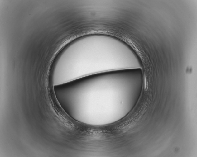 X0000096490531200801241212