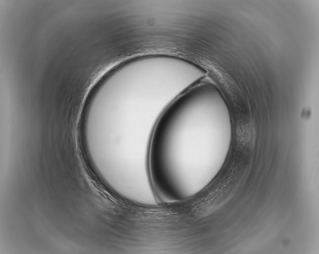 X0000096490532200801241212
