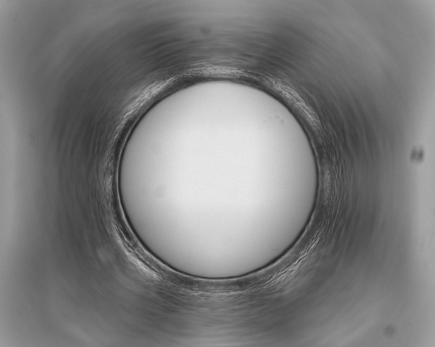 X0000096490533200801241212