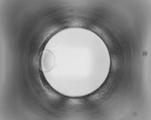 X0000096490534200801241212
