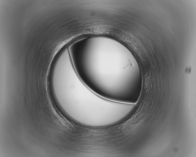 X0000096490536200801241212
