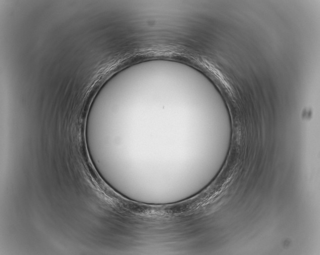 X0000096490537200801241212