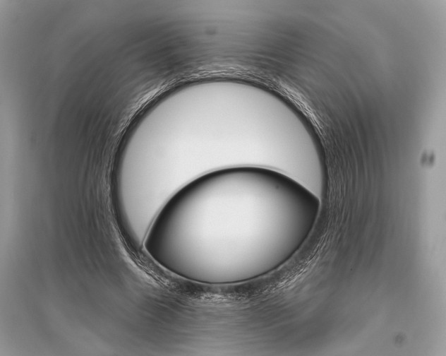 X0000096490538200801241212
