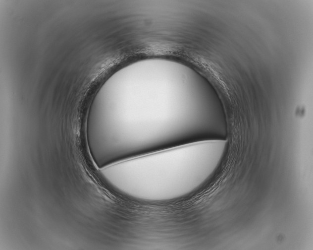 X0000096490539200801241212