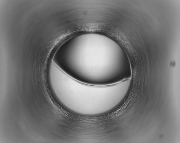 X0000096490540200801241212