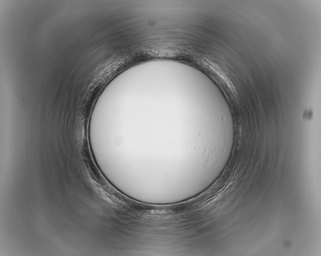 X0000096490541200801241212