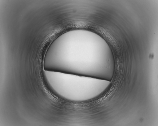 X0000096490542200801241212