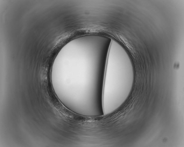 X0000096490543200801241212