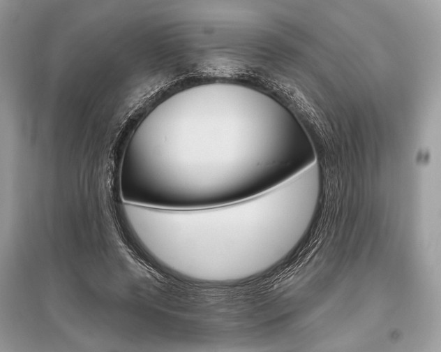 X0000096490544200801241213