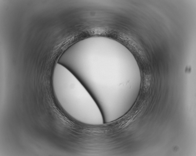 X0000096490545200801241213