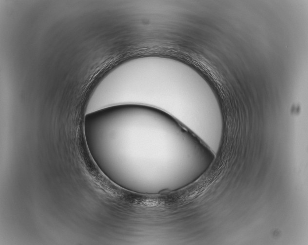 X0000096490546200801241213