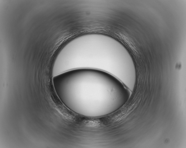 X0000096490548200801241213