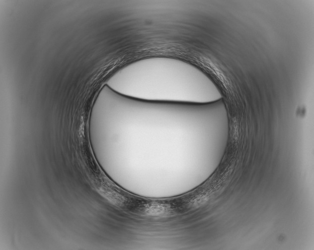X0000096490549200801241213