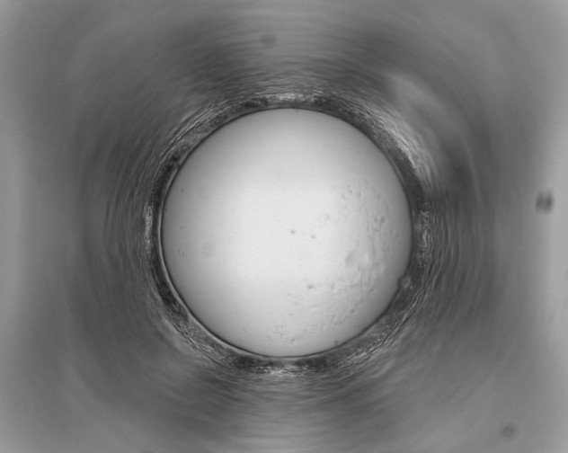 X0000096490550200801241213