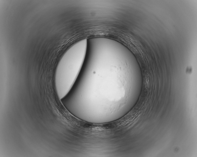 X0000096490551200801241213