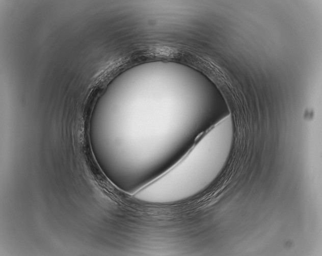 X0000096490552200801241213