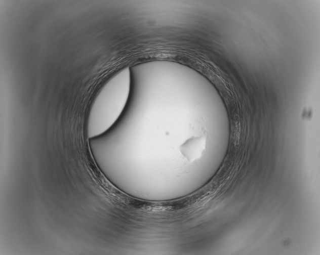 X0000096490553200801241213