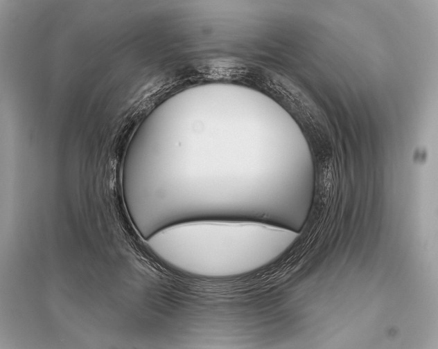 X0000096490554200801241213
