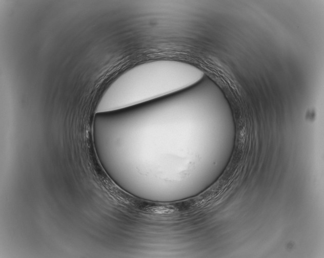 X0000096490555200801241213