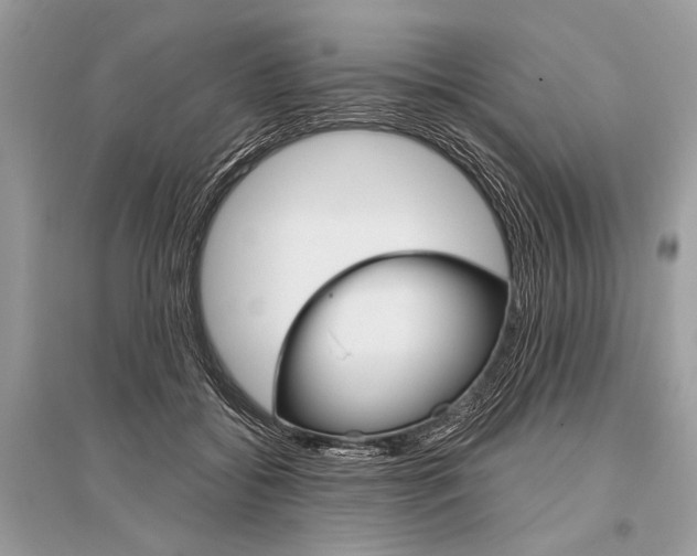 X0000096490556200801241213