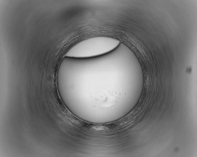 X0000096490557200801241213