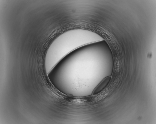 X0000096490558200801241213