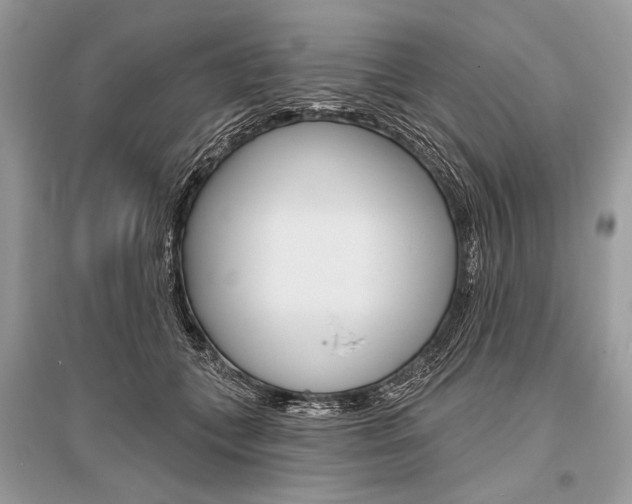 X0000096490559200801241213