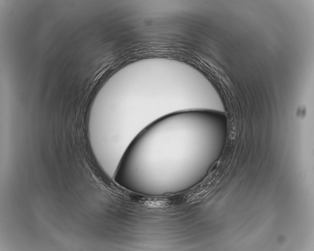 X0000096490560200801241213