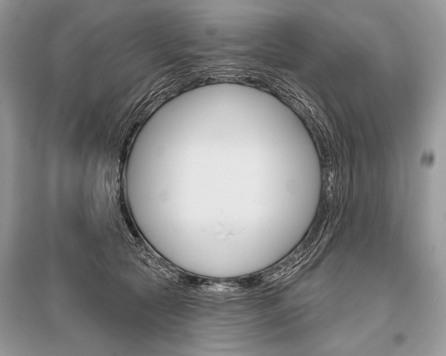 X0000096490561200801241213