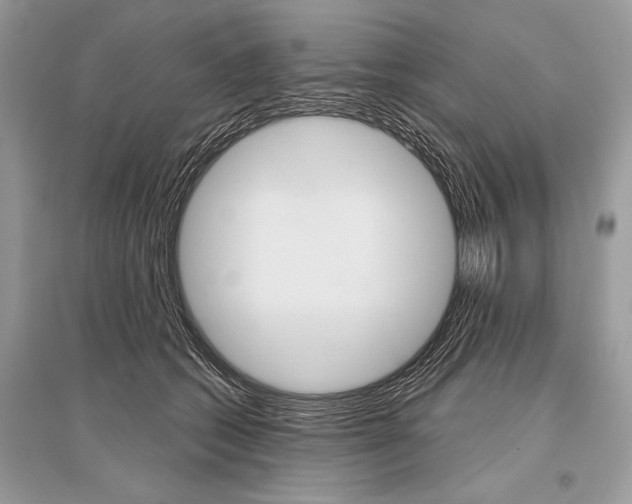 X0000096490562200801241213