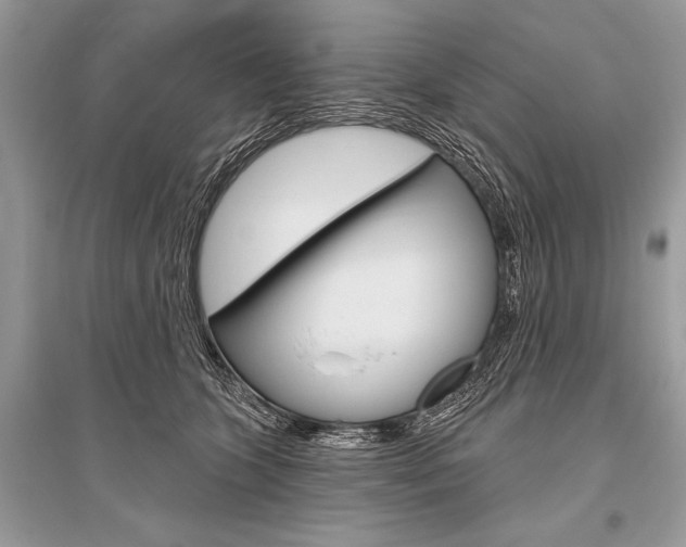 X0000096490563200801241213