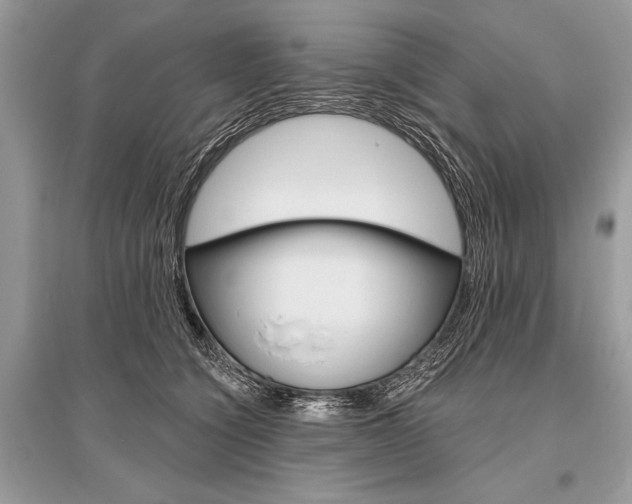 X0000096490564200801241213