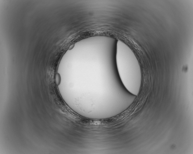 X0000096490565200801241213