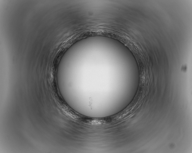 X0000096490566200801241213