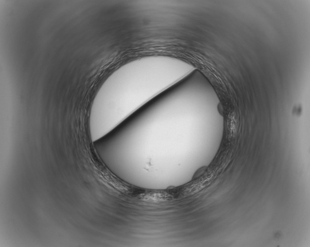 X0000096490567200801241213