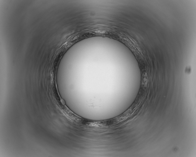 X0000096490568200801241213