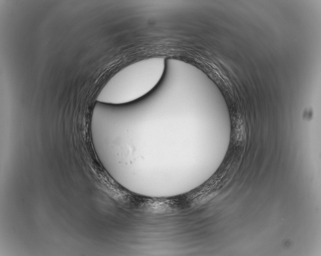 X0000096490569200801241213