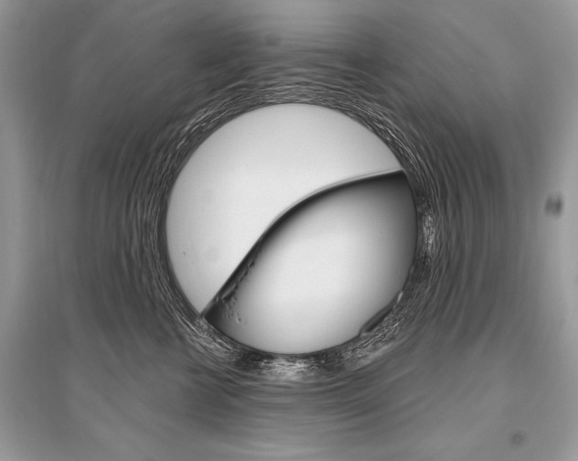 X0000096490570200801241213